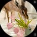 A (@5x7zoo) Twitter profile photo A (@5x7zoo) Twitter profile photo