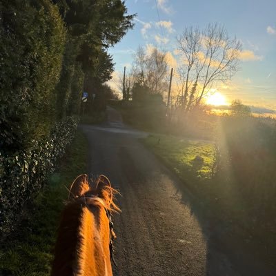 nictym's profile picture. 