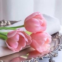 قطر الندى بديل (@qatralnd2) 's Twitter Profile