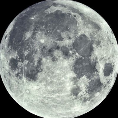 redsidealters's profile picture. Man of my word