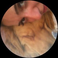 sarıcivci fulya (@saricivcii_fly) 's Twitter Profile Photo sarıcivci fulya (@saricivcii_fly) 's Twitter Profile Photo