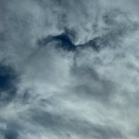 Brilliant Notion (@brilliantnotion) 's Twitter Profile