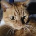 Regina Gunter (@g78869476) Twitter profile photo Regina Gunter (@g78869476) Twitter profile photo