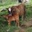 caranper's profile image