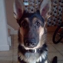 Michael McBride - @mmpd31112324 - Twitter