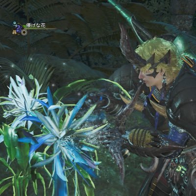 pokemonhunwilds's profile picture. 