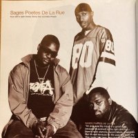 Les Sages Po' (@sagespo) 's Twitter Profile Photo Les Sages Po' (@sagespo) 's Twitter Profile Photo