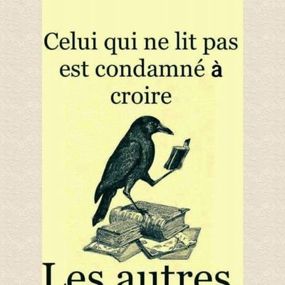 hafiane_ra4943's profile picture. 