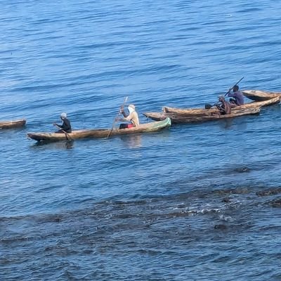 1804Institute's profile picture. Interests: Haiti; Black Leadership; Resistance Movements.