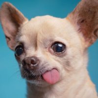 Salvador Fernandez (@salvador_fernan) 's Twitter Profile Photo