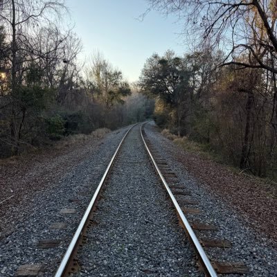 rapstarraul's profile picture. 