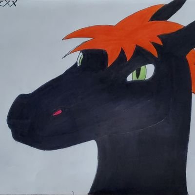 tdog9623's profile picture. 