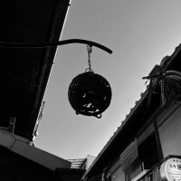 知足 (@hwqmp8) Twitter profile photo