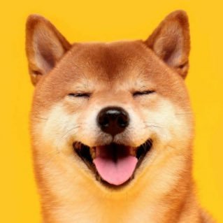 6Kw3r's profile picture. 小1の女の子と4歳の男の子のママ。11月に離婚しました。無言フォローすいません