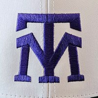 Mankato Twins O35 ⚾ (@o35twins) 's Twitter Profile