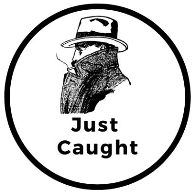Peer-reviewing PubPeer | Tracking PubPeer posts, starting with Elisabeth Bik.
Exposing misinformation and advocating for scientific integrity.