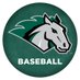 Stevenson Baseball (@stevensonbsb) Twitter profile photo