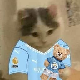 cottonb1ue's profile picture. @ManCity🩵