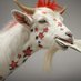 Translation Goat (@goattranslation) Twitter profile photo Translation Goat (@goattranslation) Twitter profile photo