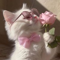 🧊 (@8pp_uc) 's Twitter Profile