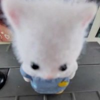 ๋จ๋จ (@miamo177996) 's Twitter Profile Photo ๋จ๋จ (@miamo177996) 's Twitter Profile Photo