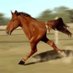 $HORSE (@horsebsc) Twitter profile photo $HORSE (@horsebsc) Twitter profile photo