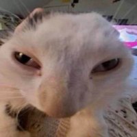 DragonDL (@dragondl94465) 's Twitter Profile