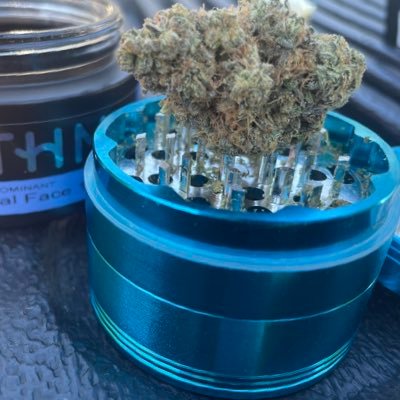 First year grower! Mostly autos, but some photos! AC Infinity equipment. Fast Buds affiliate! Use Code: SCOOT at checkout for 15% of Fast Buds orders!