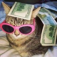 Llego0elperreo's profile picture. 