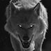 OcculticWolf (@occulticwolf32) Twitter profile photo OcculticWolf (@occulticwolf32) Twitter profile photo