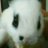 HOKURO1111's profile image