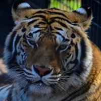 Ricco Sastoque (@riccosastoque) 's Twitter Profile Photo Ricco Sastoque (@riccosastoque) 's Twitter Profile Photo