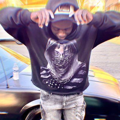 bullybreed04's profile picture. 