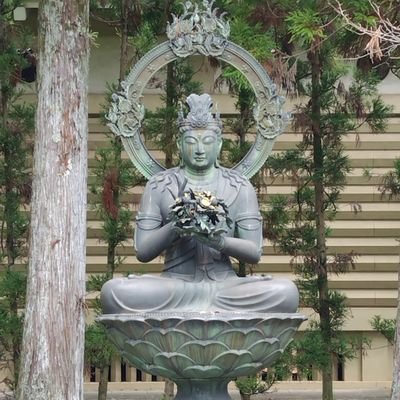 mercuryquote's profile picture. 