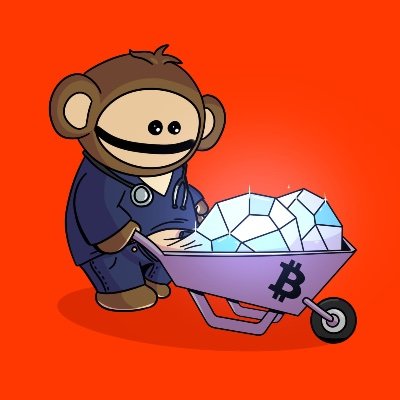 SmolMaxi's profile picture. $BTC $XMR
