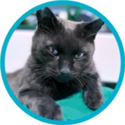 mak_i_LYs's profile picture. 今までこっそり応援してましたが〜かっこいい！可愛い！最高！って盛り上がりたくてとうとう🔰iLYsデビューです！神宮寺くん強めのNumber_i推しです🩵仲良くしてくださると嬉しいです♬無言フォロー失礼します🙏✨