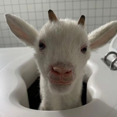 maria_raquel_'s profile picture. 