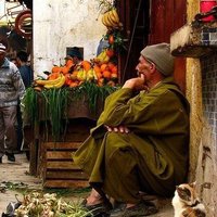 Dawood Haq (@hazim_khaidi) 's Twitter Profile