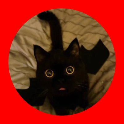 macro_hsq's profile picture. 