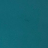 Animal lover (@polofeetmaster) 's Twitter Profile