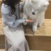 み (@pipi_sarari) Twitter profile photo み (@pipi_sarari) Twitter profile photo