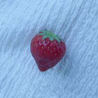 TOKI (@toki3_3toki) 's Twitter Profile