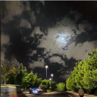 strong (@lymmd177129) Twitter profile photo