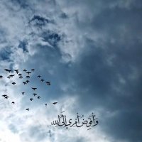 وأفوض أمري إلي الله (@rrrr2025rrrr) 's Twitter Profile
