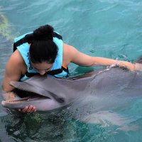 GK🫶🏼🐳 (@greicy_kely) 's Twitter Profile