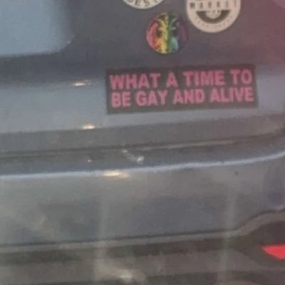 nvrba2023's profile picture. 