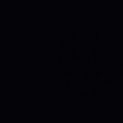 niisobolo's profile picture. 