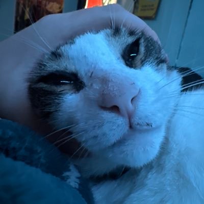 helloo12328's profile picture. 