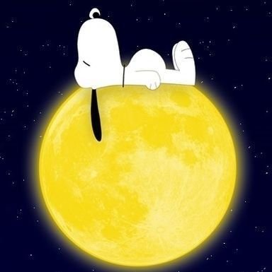 kobachan_mo's profile picture. 推したいように推す🩷令和ロマン、EXIT、もちを。ガデュ、東あさか🩵頑張ると無理をするを一緒にしないこと🐕️2023.11月香川〜2025.10月小倉