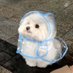 욤 (@nzcbamq8thdt87a) Twitter profile photo 욤 (@nzcbamq8thdt87a) Twitter profile photo